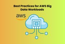 AWS Big Data Workloads